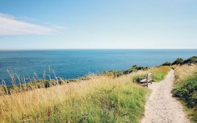 Is that a GMO over there?